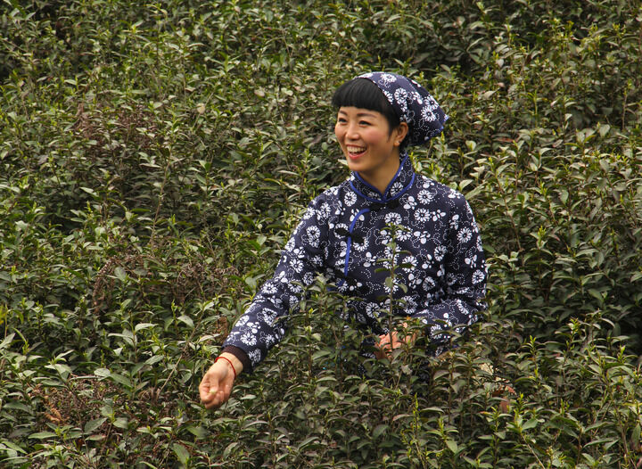雨巷佳人